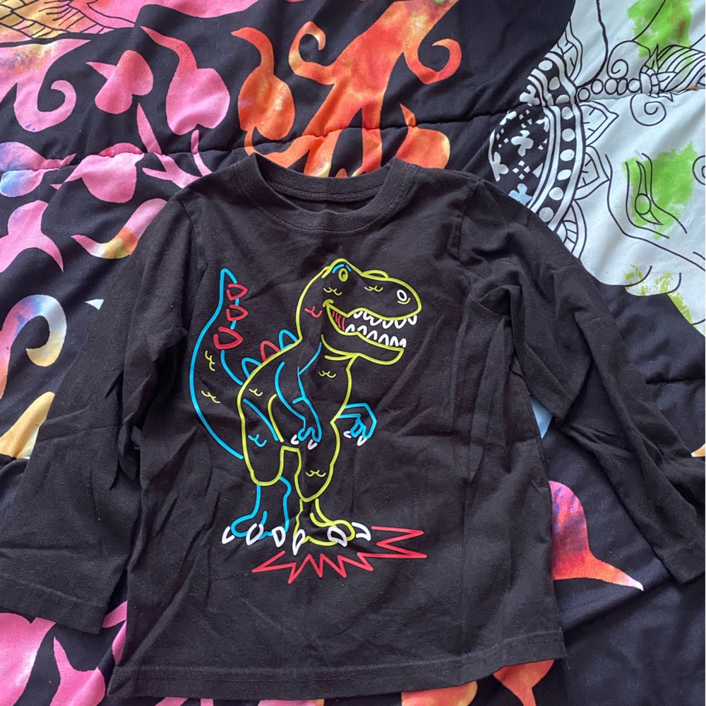 Dinosaur long sleeve graphic shirt toddler size 3t